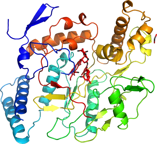 Complex Protein Molecular Structure Illustration