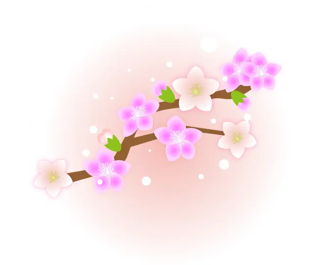 Pink Cherry Blossom Illustration
