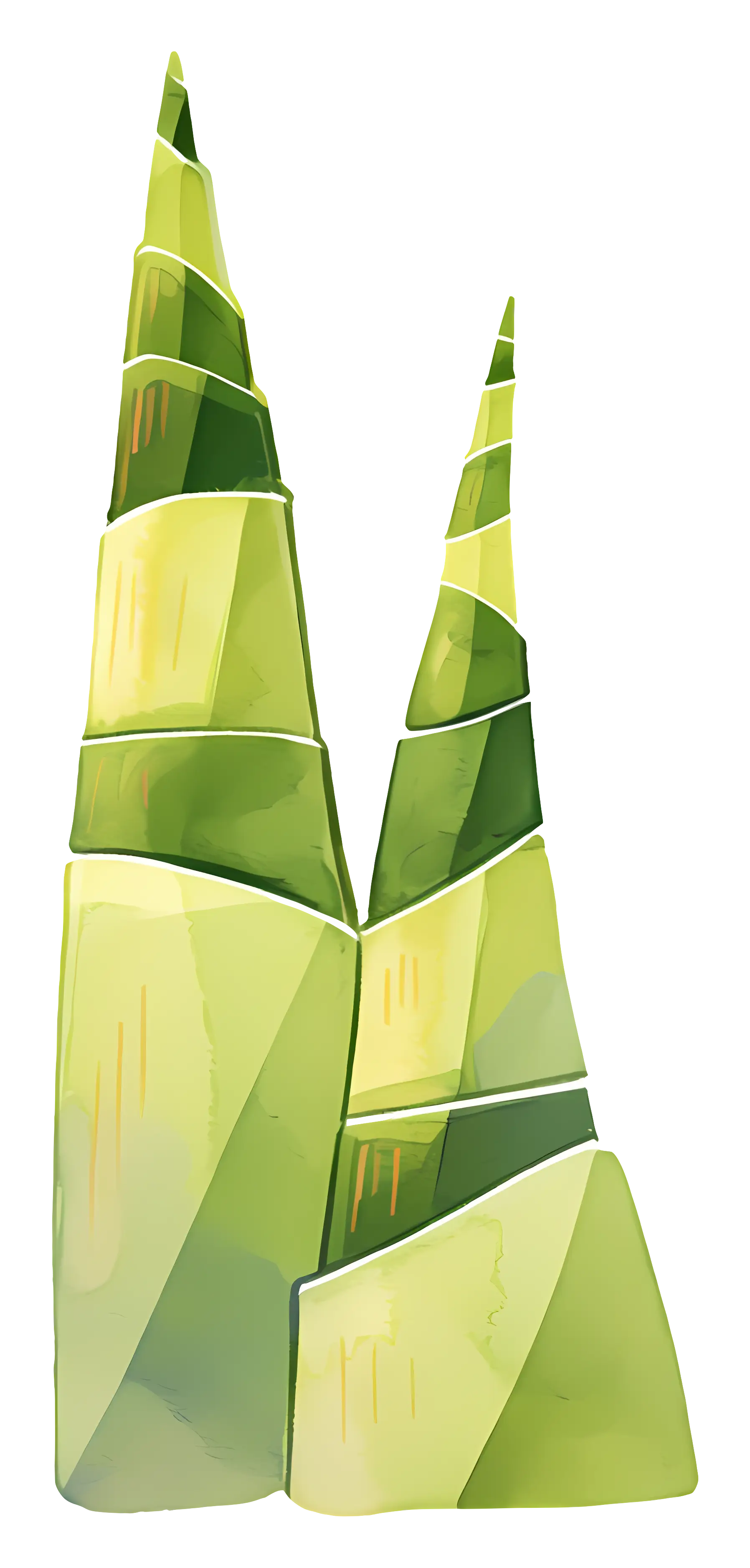 Tall Green Bamboo Shoots