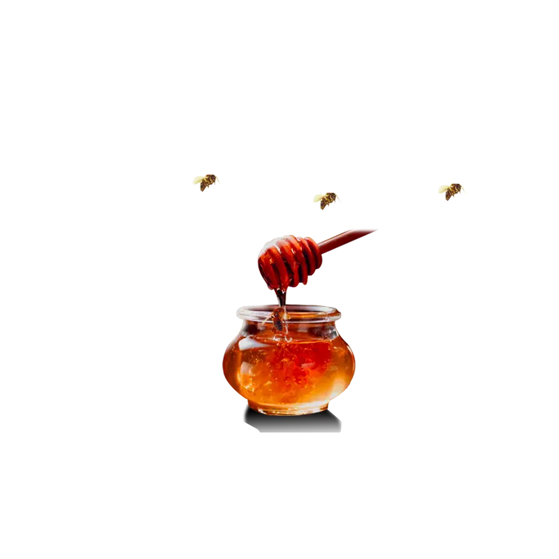Honey Jar with Dipper and Bees Illustration