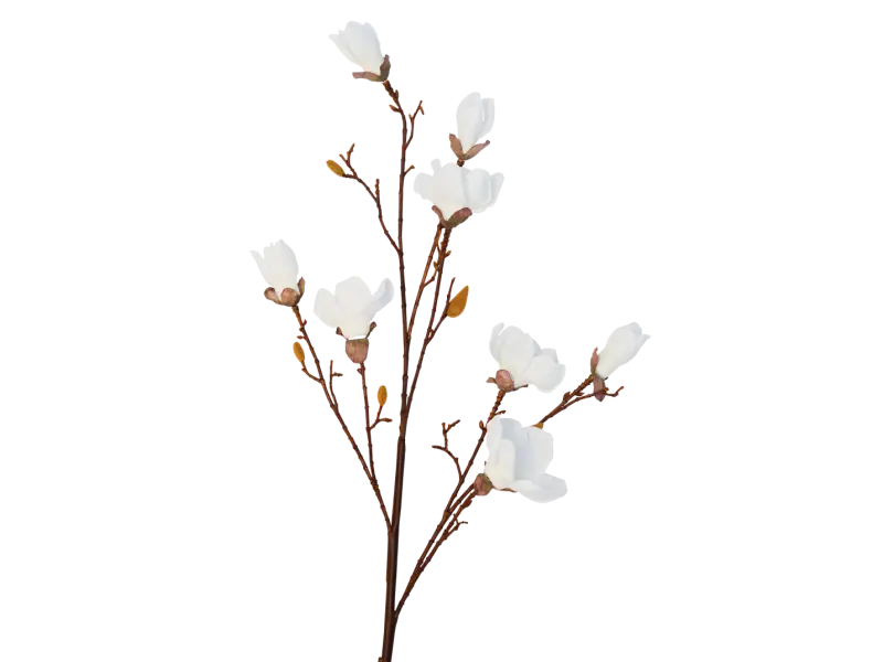 White Flower Branch