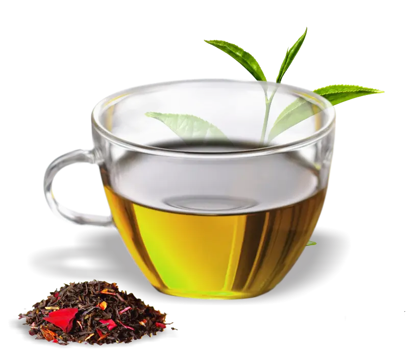 Cup of Herbal Tea
