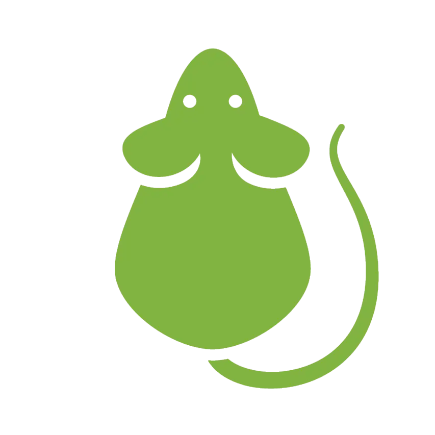 Green Cartoon Mouse