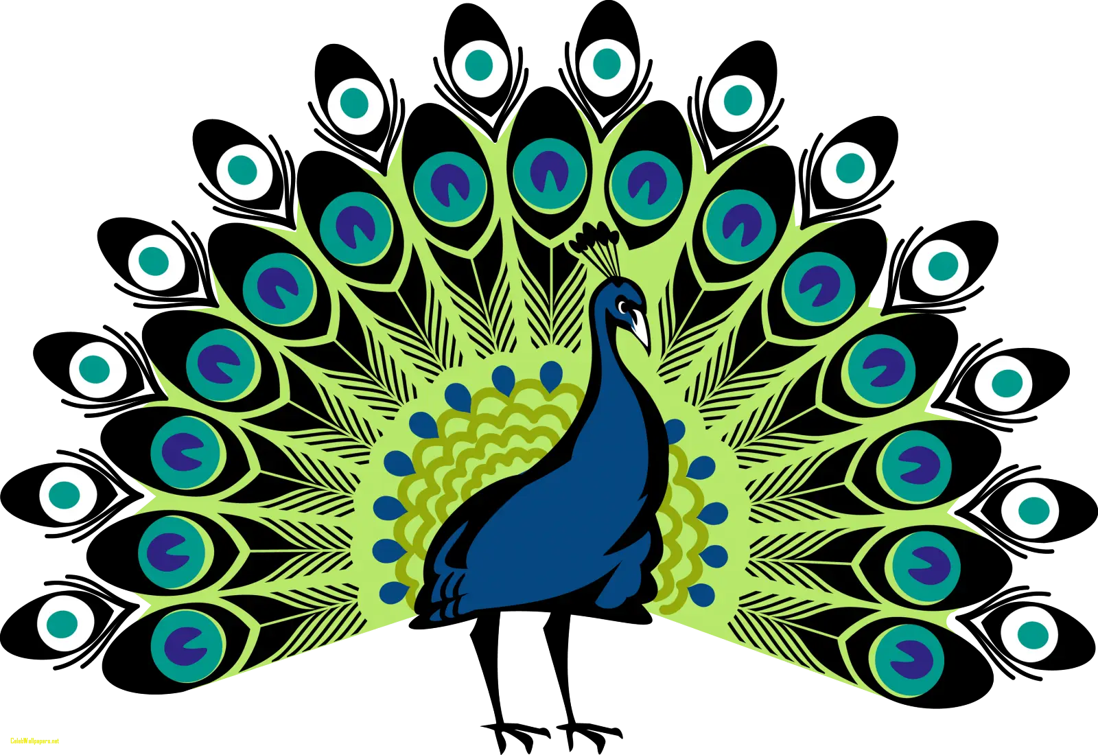 Beautiful Peacock Illustration with Vibrant Feathers