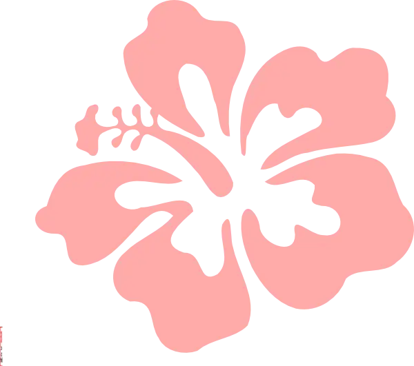 Pink Hibiscus Flower Design