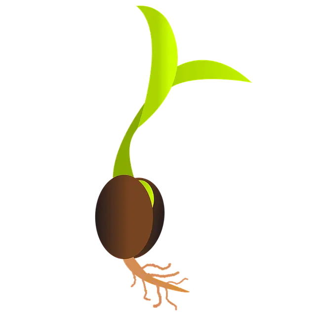 Sprouting Seed Illustration Representing Growth