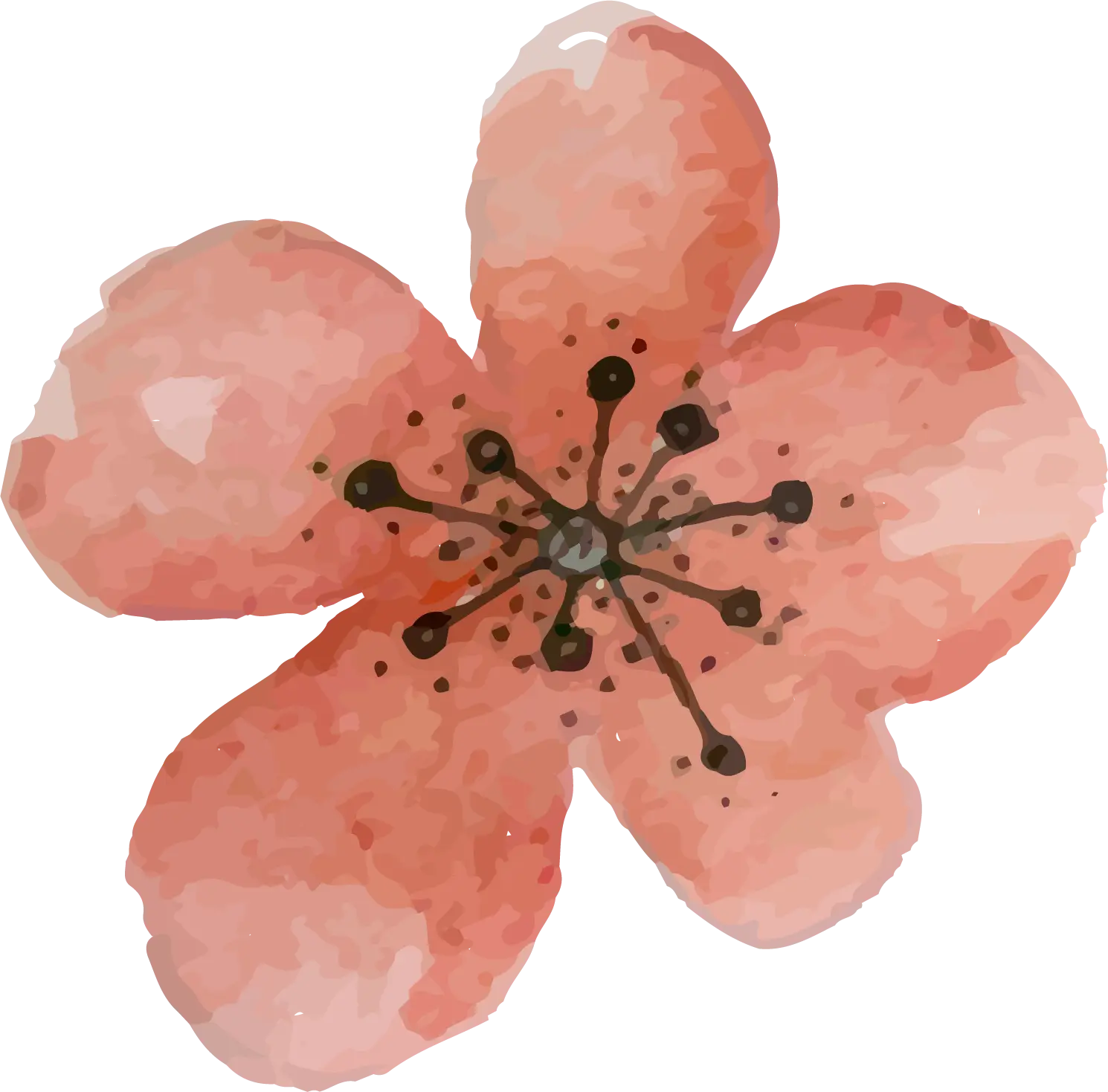 Single Pink Flower