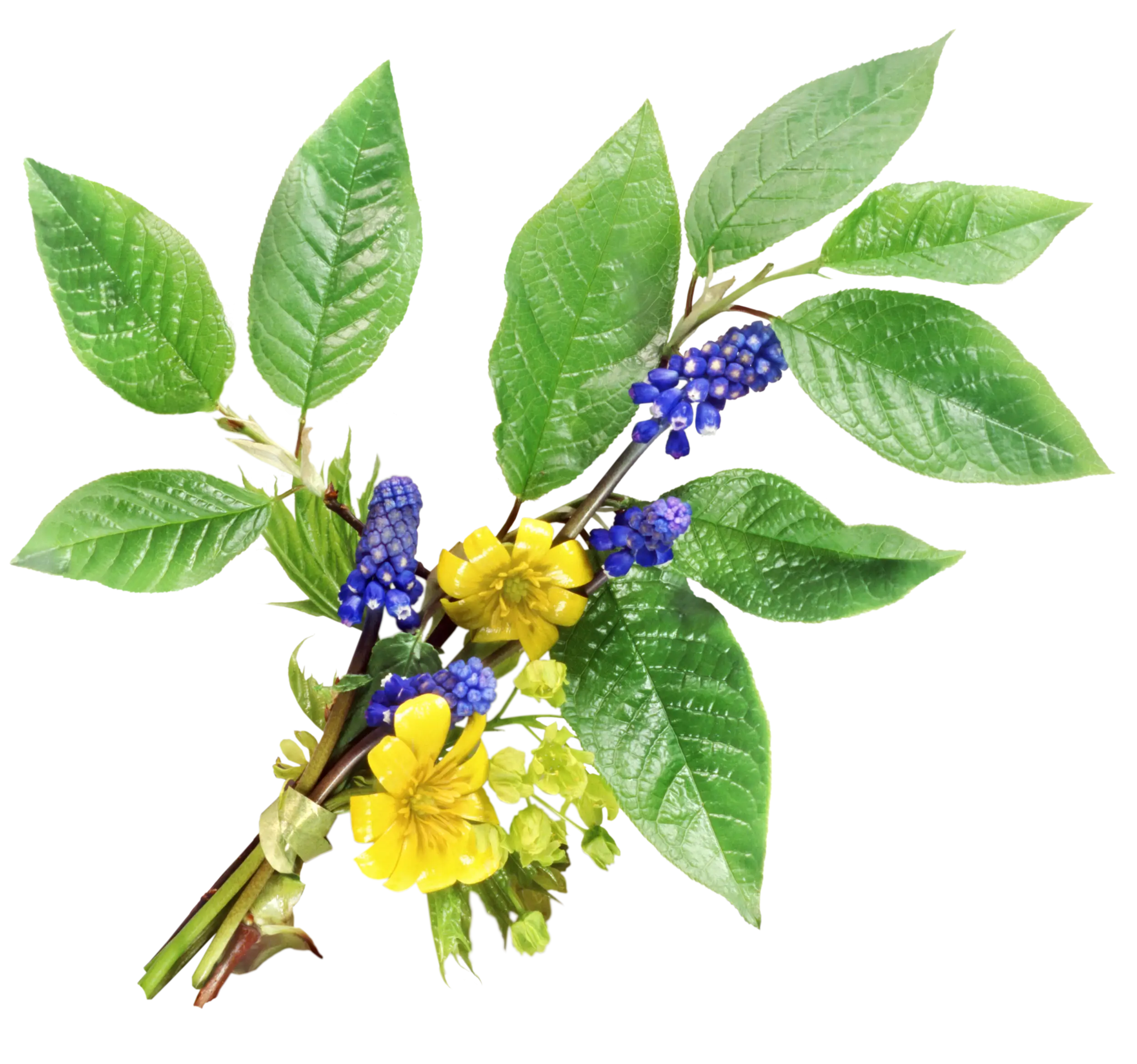 Colorful Flower Bouquet