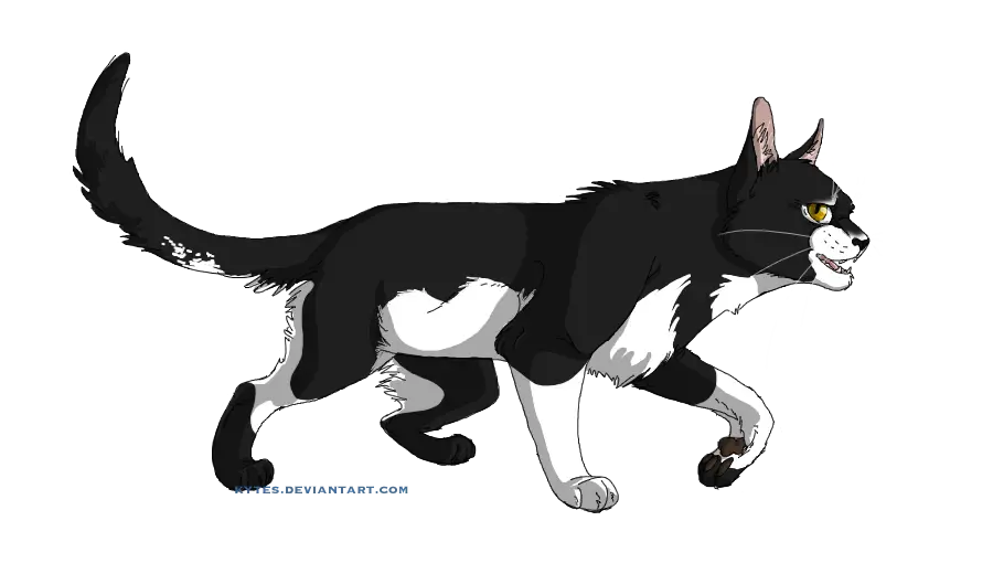 Black and White Cartoon Cat in Motion