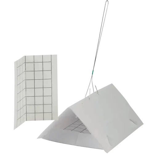 Effective Insect Trap
