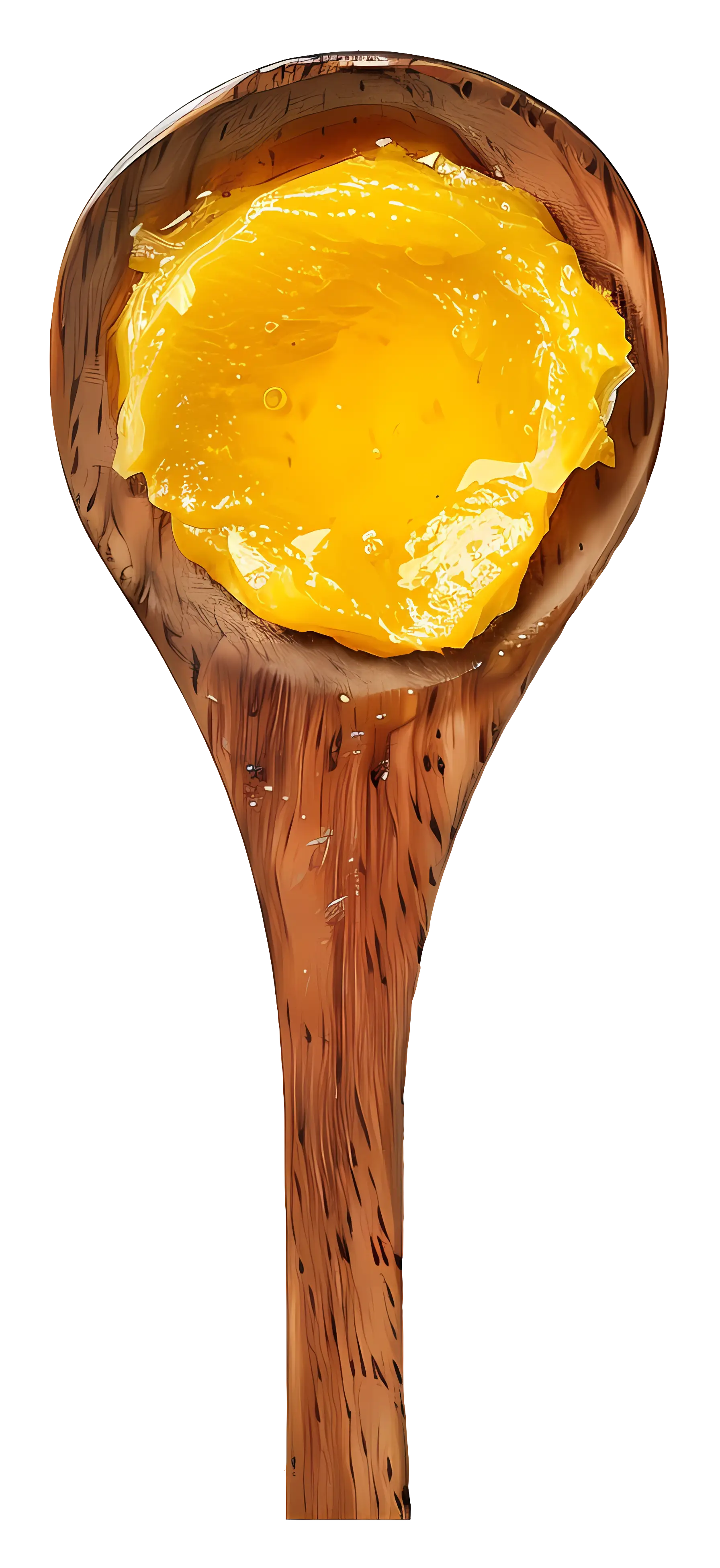 Realistic Wooden Spoon with Golden Honey