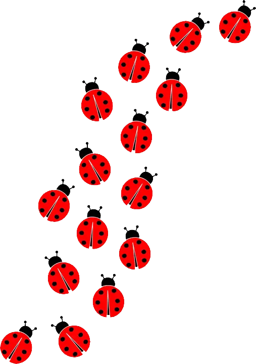Line of Cute Red Ladybugs