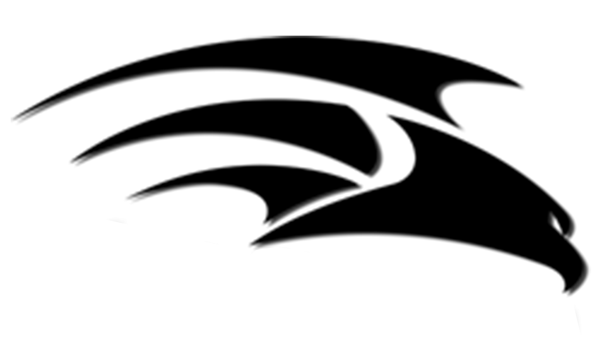 Black Eagle Logo Design