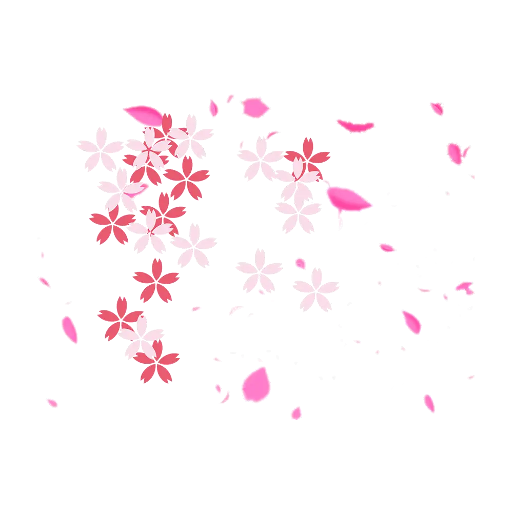 Pink Cherry Blossom Petals Illustration
