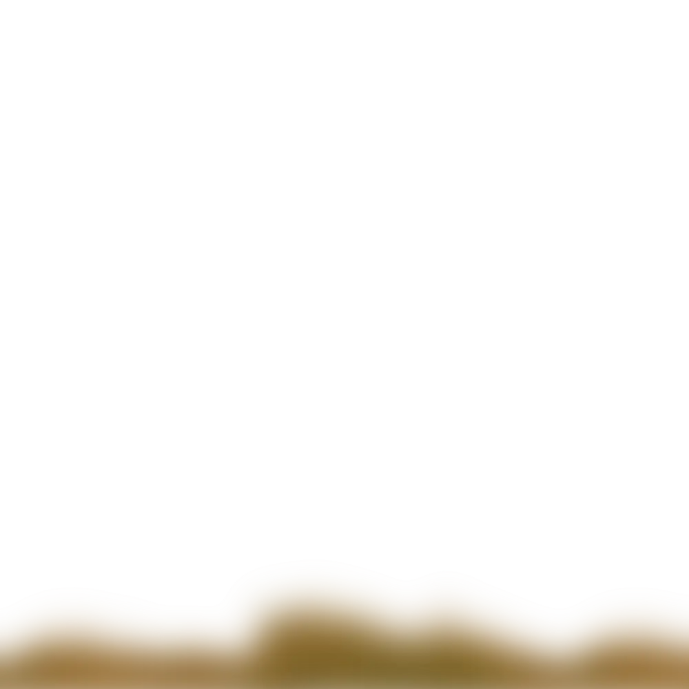 Transparent Background with Brown Border