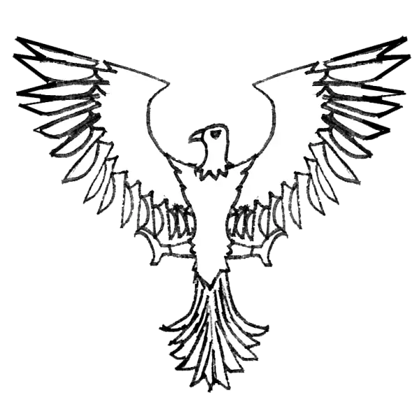 Eagle Sketch with Outspread Wings