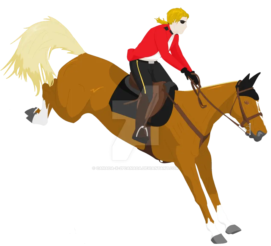 Equestrian Jumping Over an Obstacle