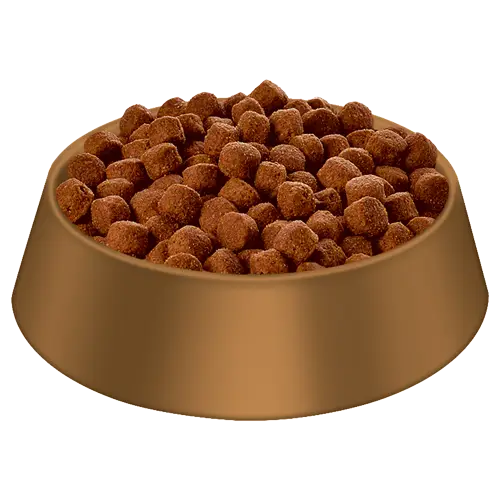 Bowl of Dry Dog Kibble in Golden Bowl