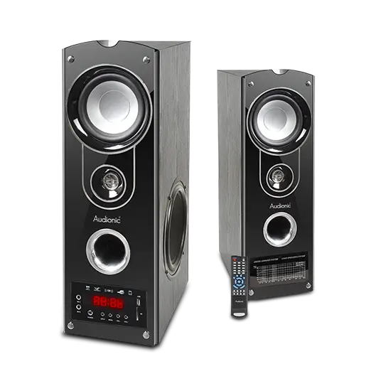 Pair of Modern Audio Speakers