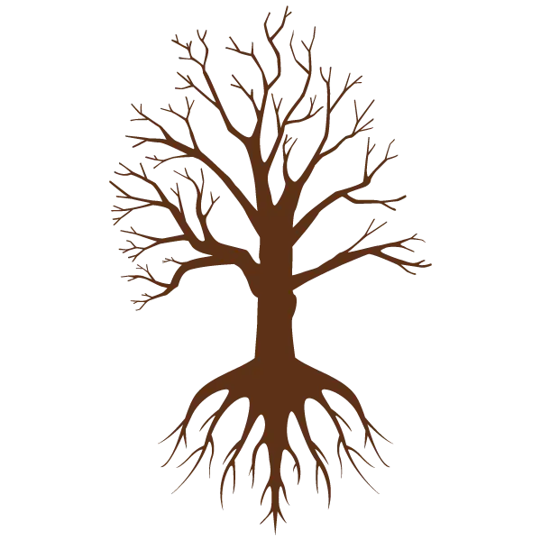 Tree with Roots Illustration