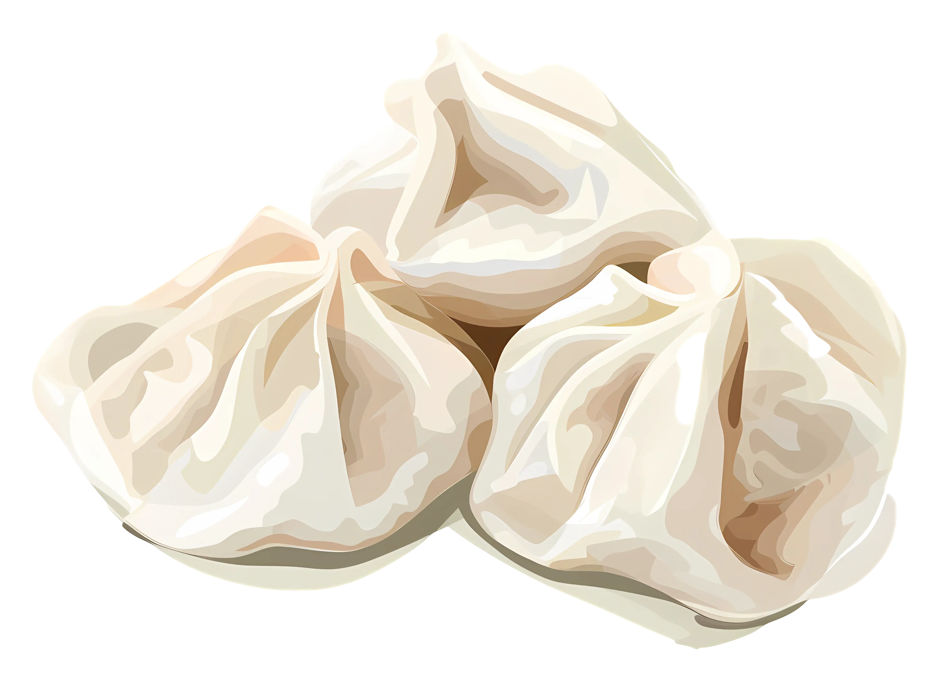 Dumplings Illustration