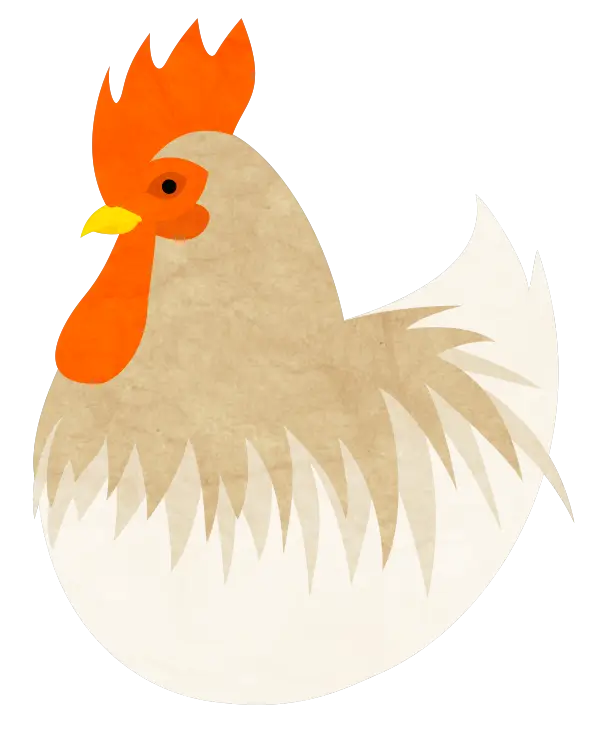 Cartoon Hen Illustration with Bright Colors