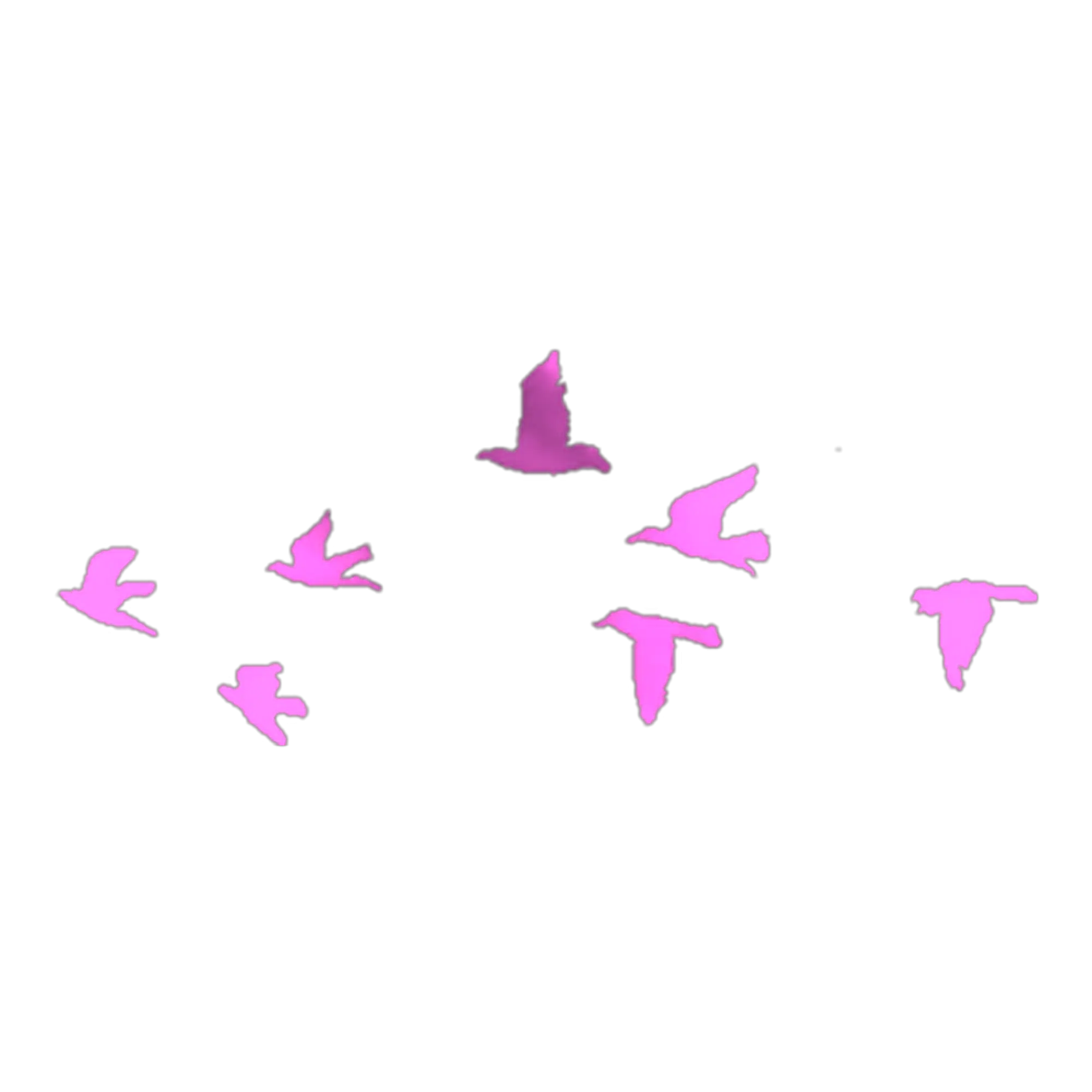 Flock of Pink Birds