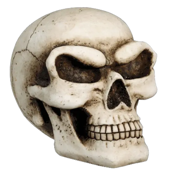 Realistic Skull Sculpture for Halloween Decor