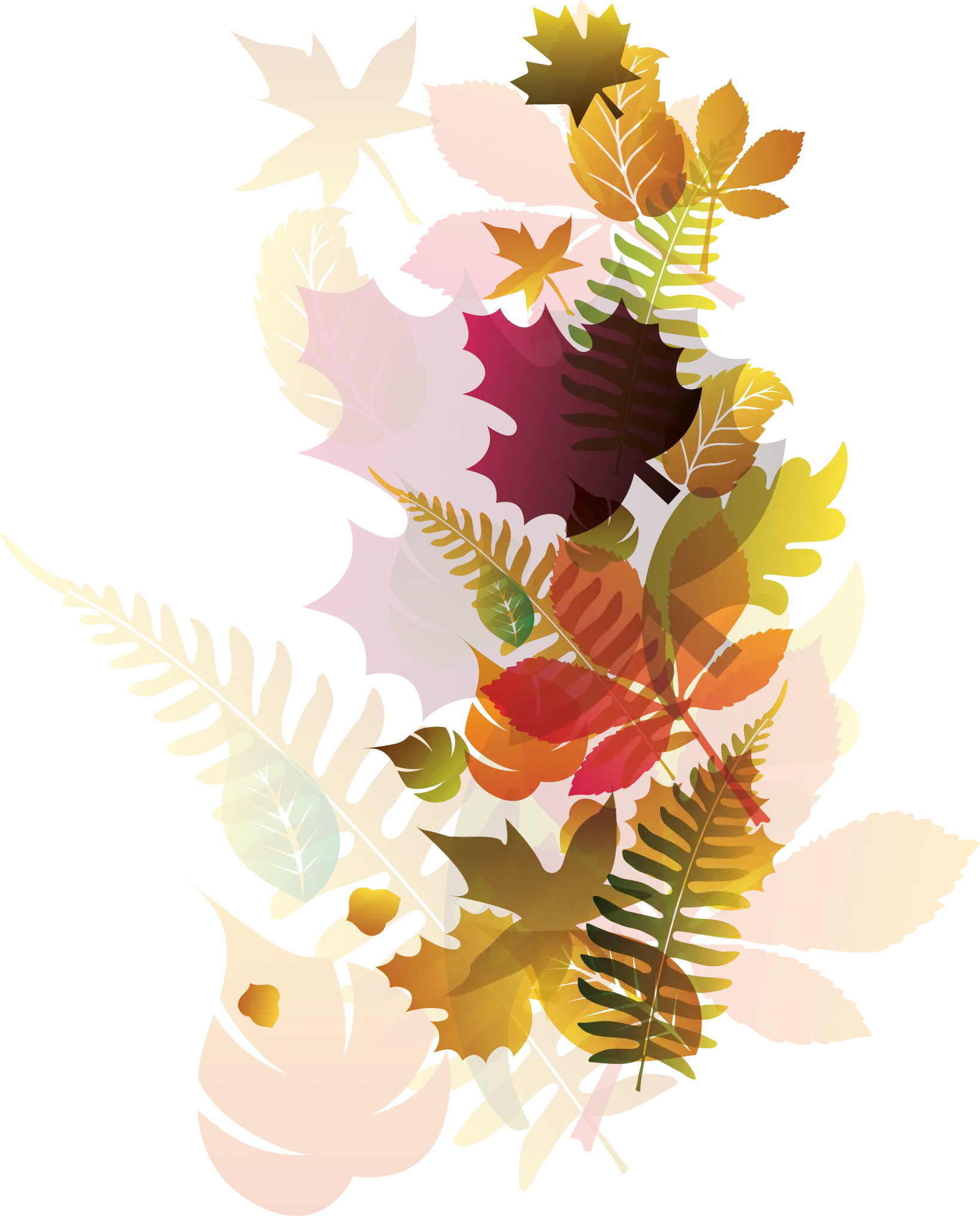 Autumn Leaves Illustration with Warm Colors