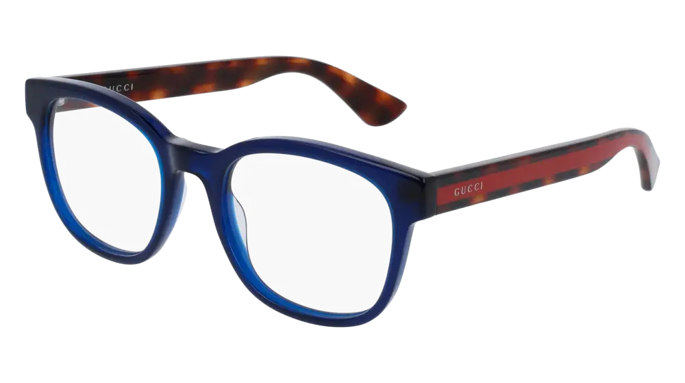 Stylish Blue and Tortoiseshell Eyeglasses