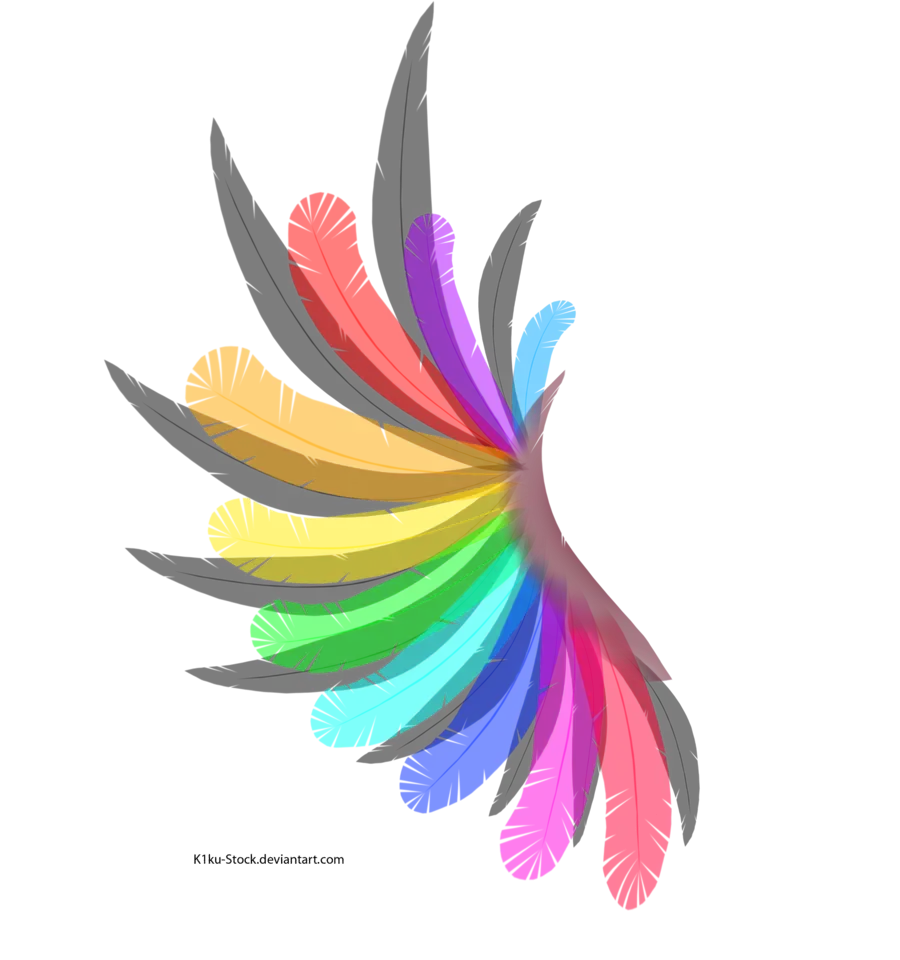Colorful Feather Illustration in Abstract Style