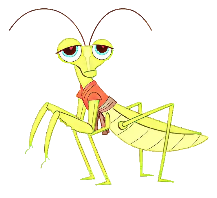 Cartoon Praying Mantis in a Shirt