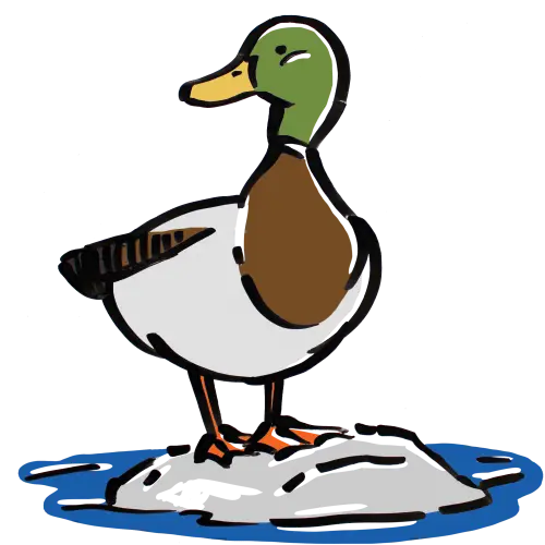 Cartoon Duck Standing on a Rock