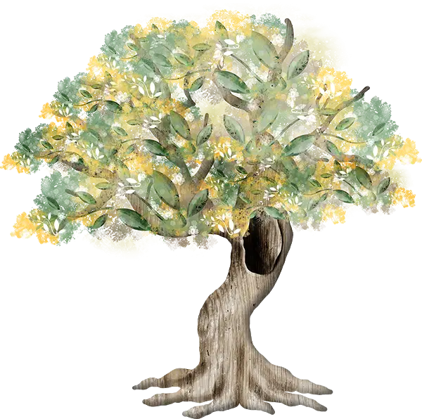 Beautiful Tree with Green Leaves
