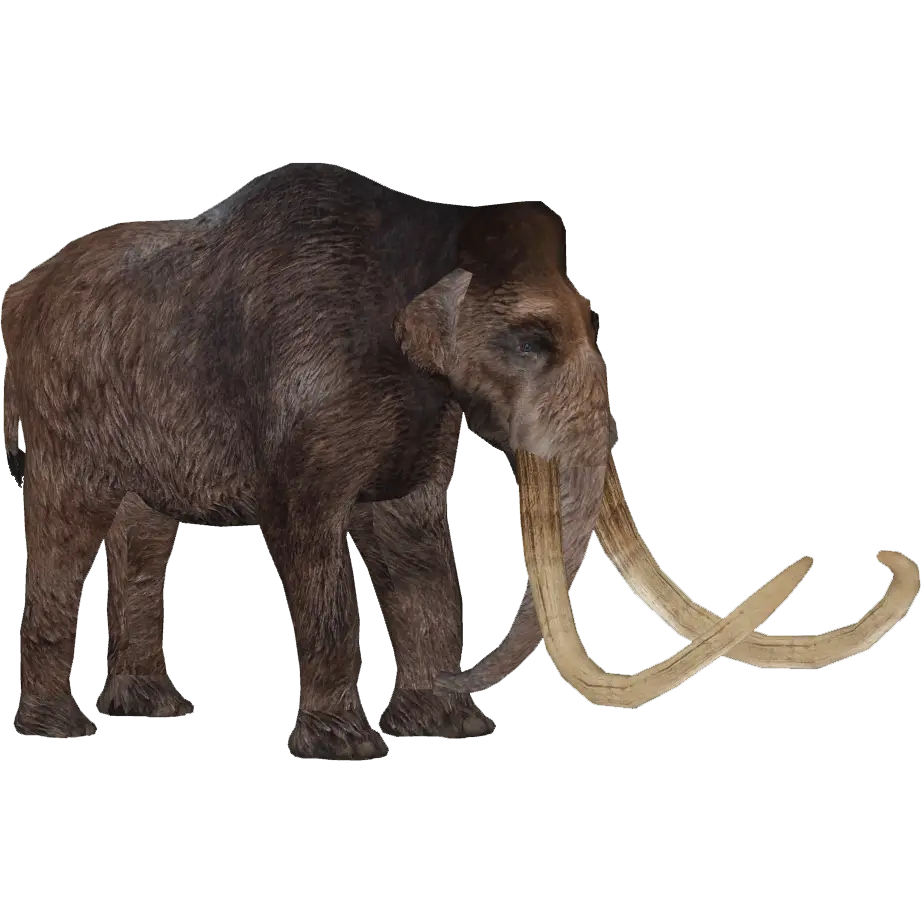 Woolly Mammoth Illustration
