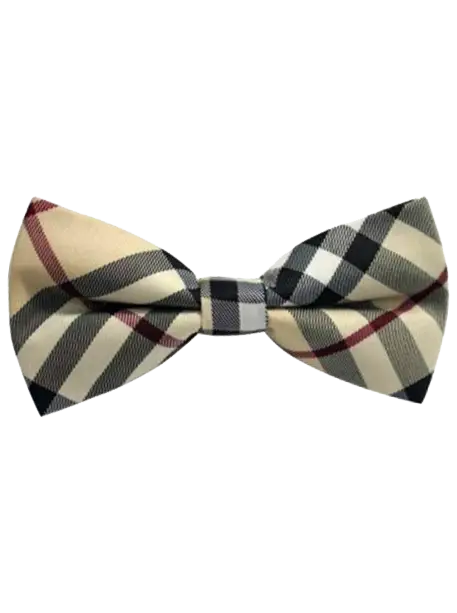 Plaid Bow Tie with Formal Design