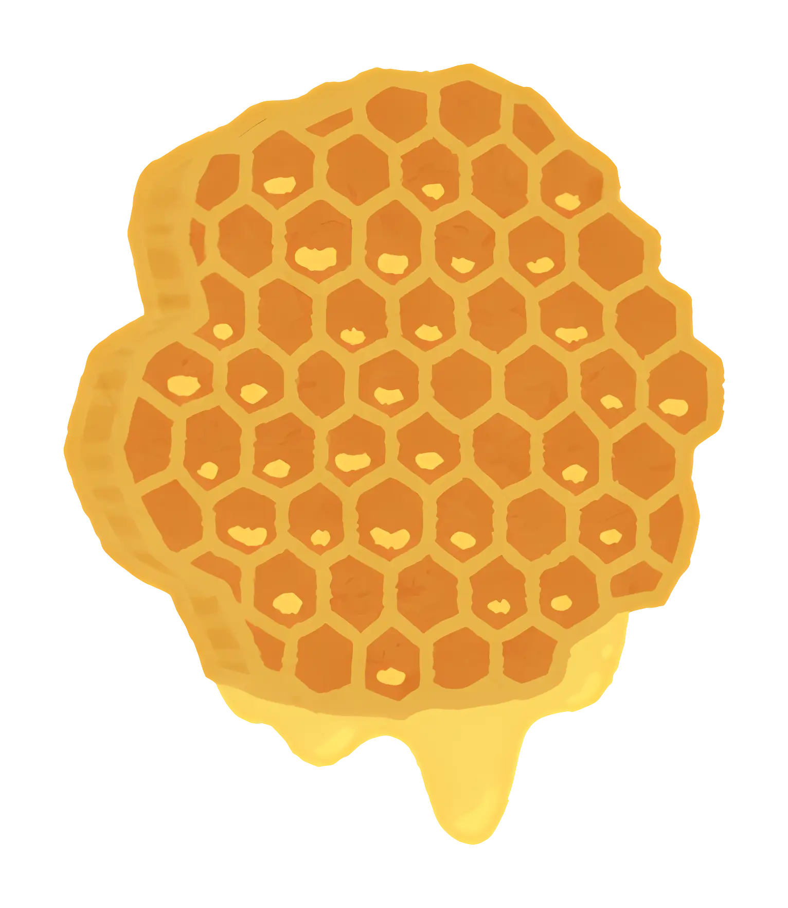 Honeycomb with Dripping Honey