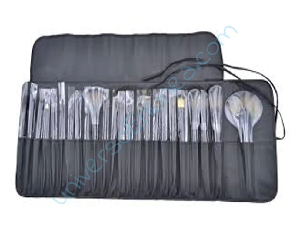Set of Paintbrushes in Case