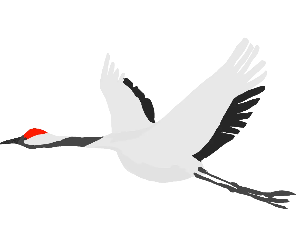 Flying Crane Illustration in Artistic Style