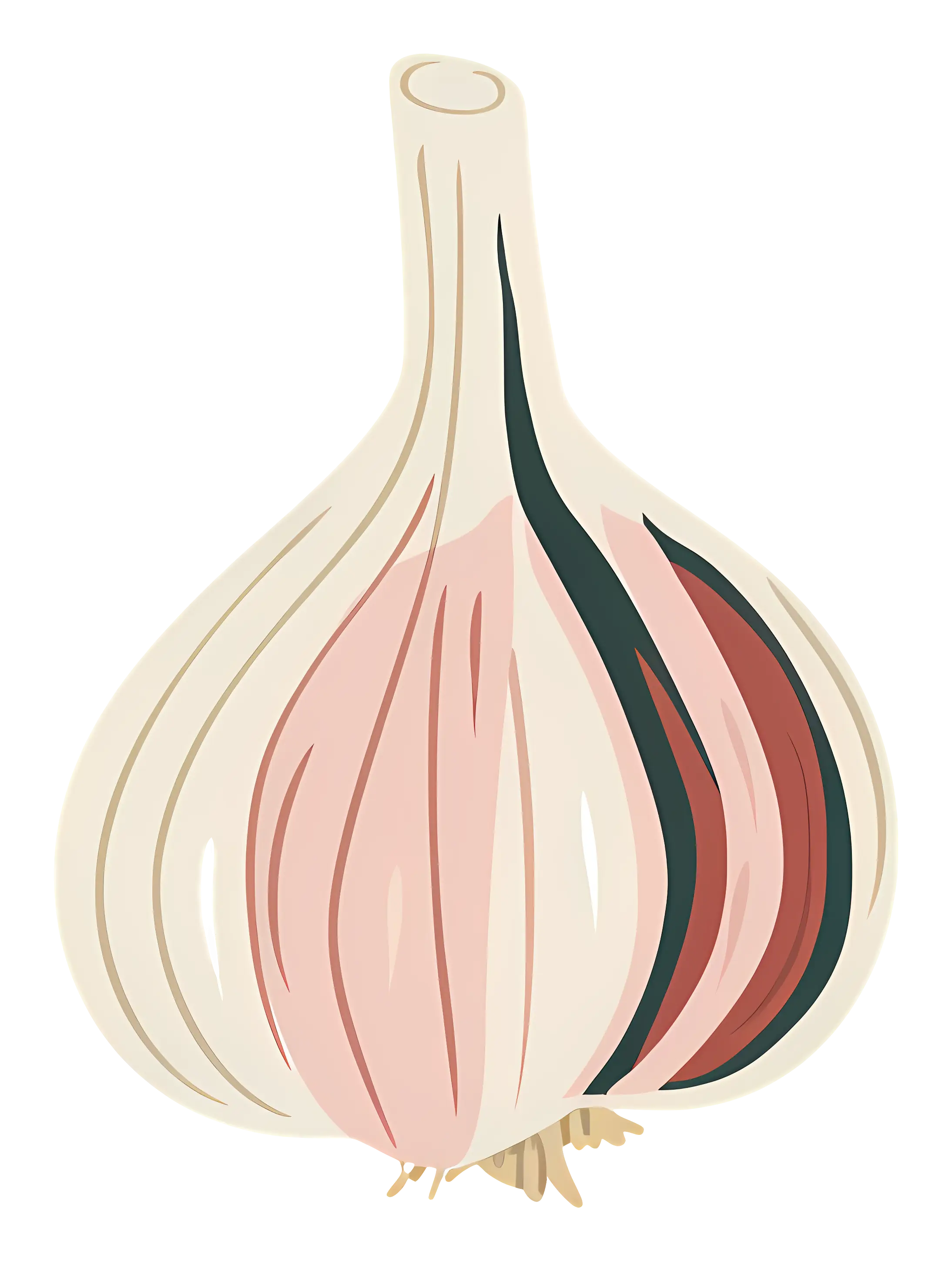 Garlic Illustration in Flat Style