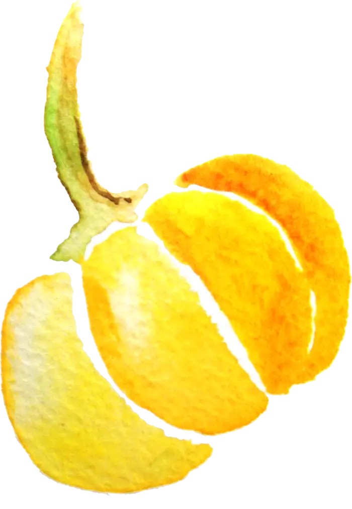 Yellow Watercolor Fruit