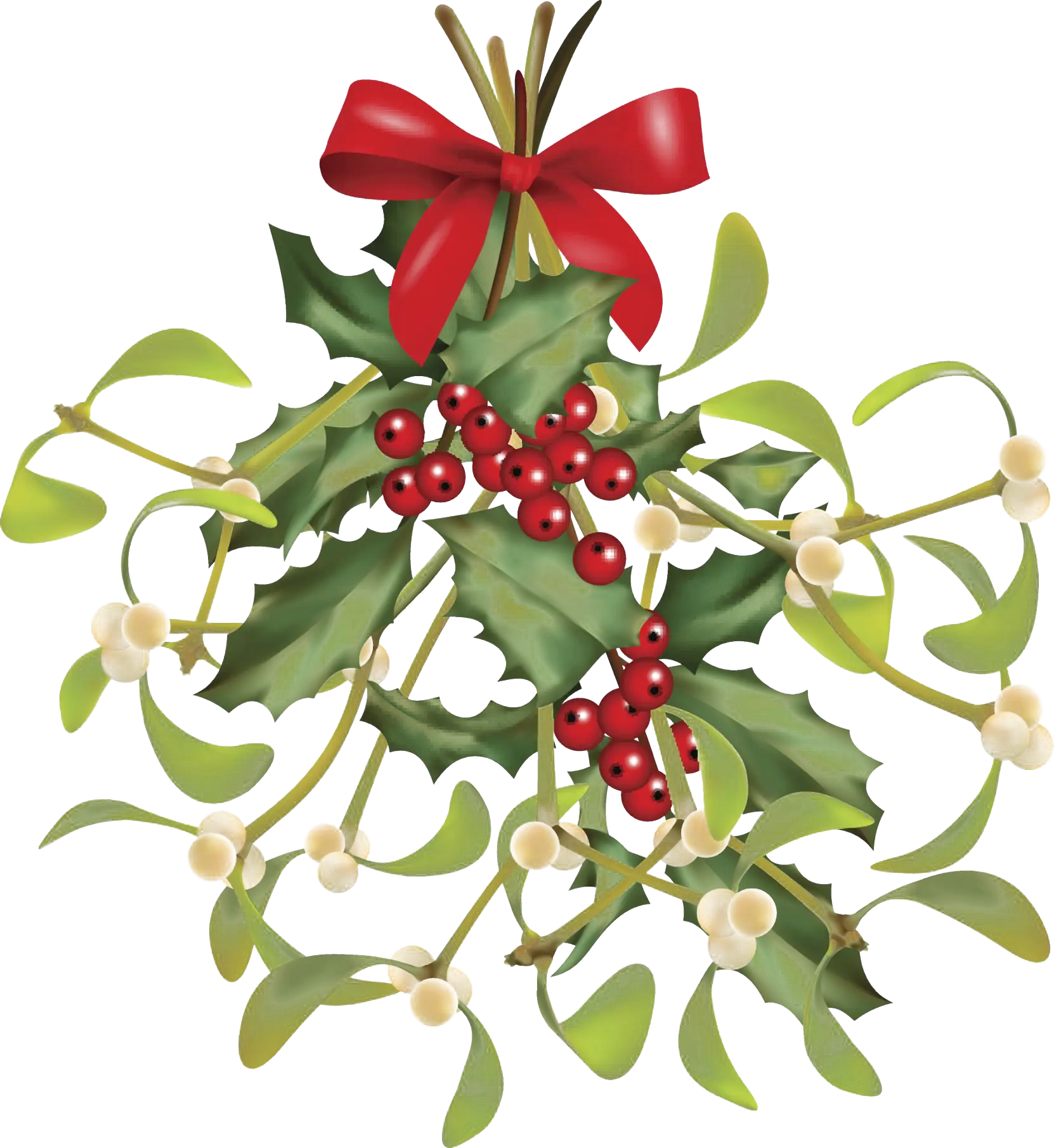 Festive Mistletoe with Bow and Berries