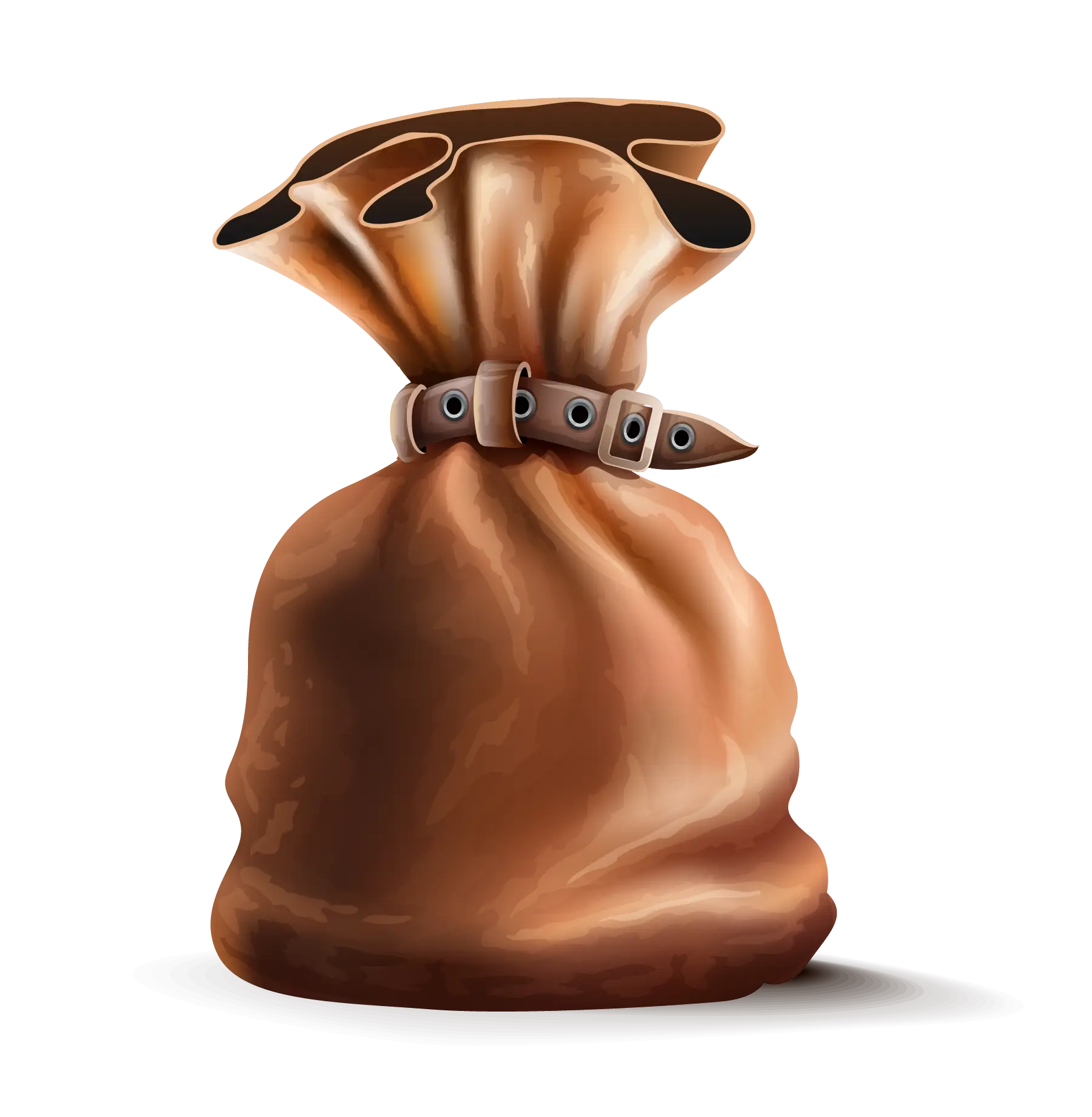 Brown Leather Bag with Belt Accent