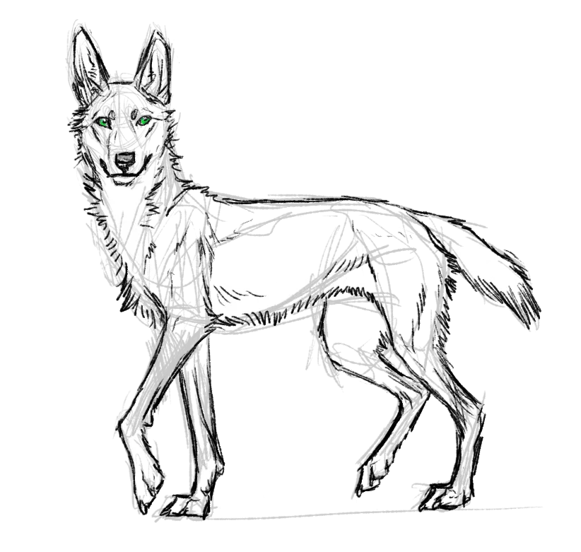 Sketched Dog with Detailed Outline
