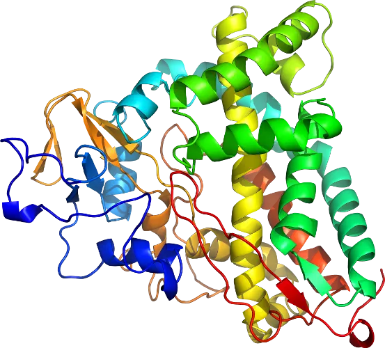 Protein Structure Illustration