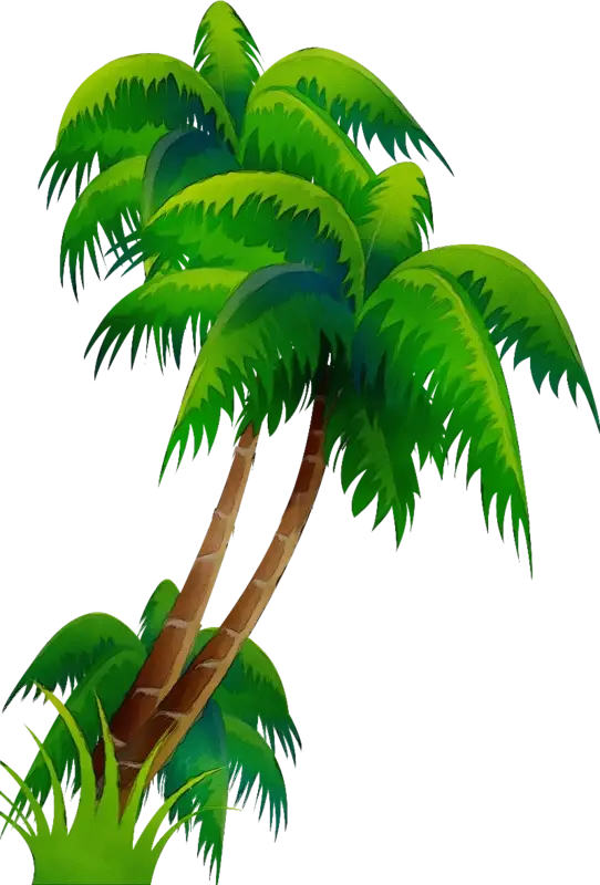 Lush Palm Tree Illustration with Green Leaves