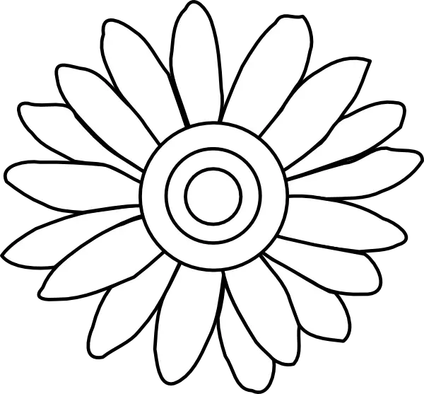 Outline Drawing of a Daisy