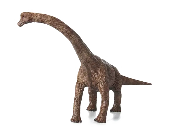 Realistic Brachiosaurus Dinosaur Model