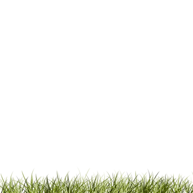 Green Grass Border for Design Elements