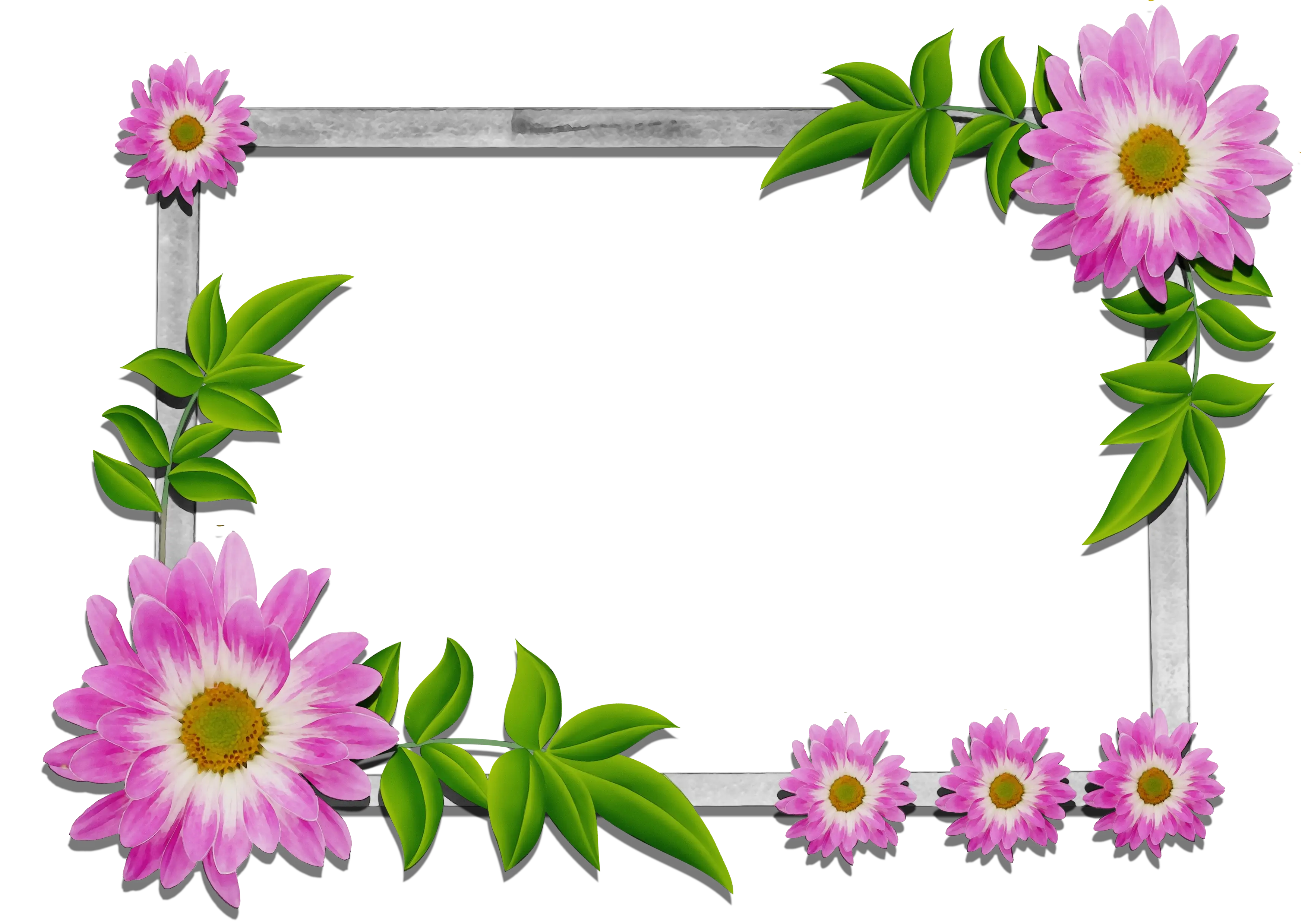 Floral Frame Decoration